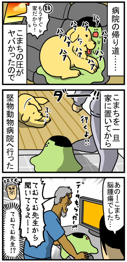 こまち闘病記6 腕に自信爺先生に治療法の詳細を聞いた まめきちまめこニートの日常 Powered By ライブドアブログ こまち闘病記6 腕に自信爺先生に治療法の詳細を聞いた まめきちまめこニートの日常 Powered By ライブドアブログ