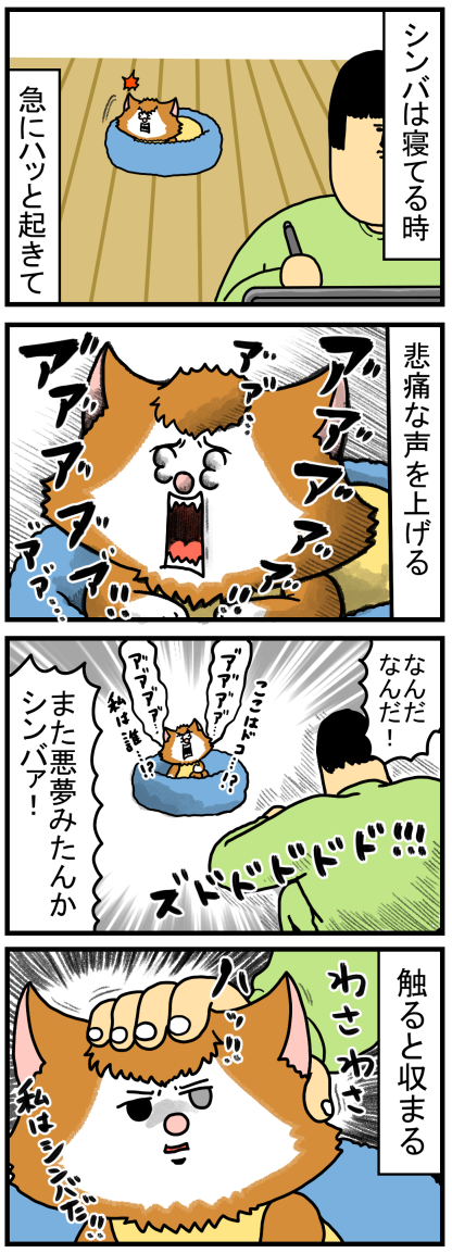 おばあちゃんと孫みたいな関係を築く猫たち まめきちまめこニートの日常 Powered By ライブドアブログ