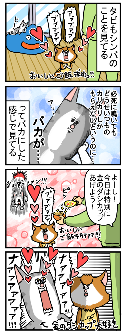 お互いを意識し合うウチの猫たち まめきちまめこニートの日常 Powered By ライブドアブログ