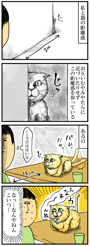 57私と猫