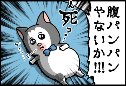 食い意地がすさまじすぎてもう誰にも止められない猫 まめきちまめこニートの日常 記事コメント 4 Powered By ライブドアブログ 食い意地がすさまじすぎてもう誰にも止められない猫 まめきちまめこニートの日常 記事コメント 4 Powered By ライブドアブログ