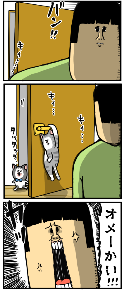 子猫6-3