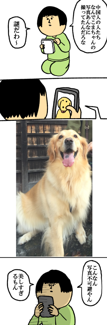 こまちゃんの日課 まめきちまめこニートの日常 Powered By ライブドアブログ こまちゃんの日課 まめきちまめこニートの日常 Powered By ライブドアブログ