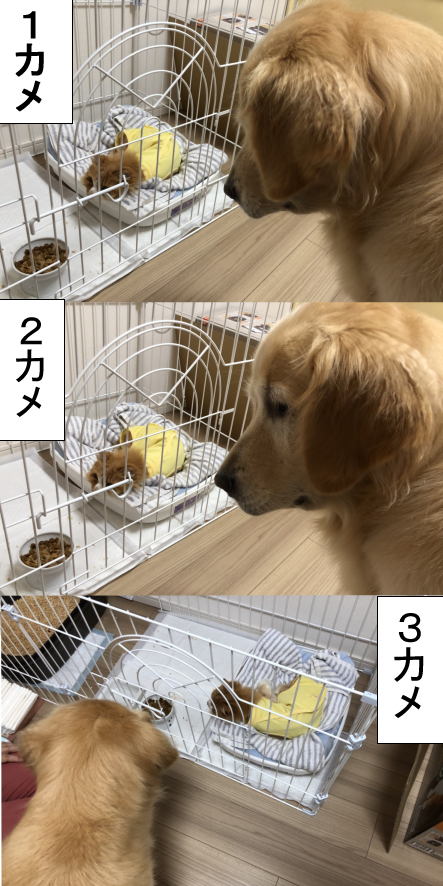 20190808-3