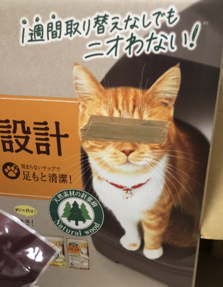 捨て猫8-4