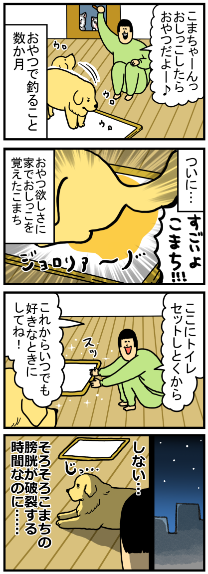 おうちでトイレと引き換えに おやつ を手に入れた犬 まめきちまめこニートの日常 Powered By ライブドアブログ おうちでトイレと引き換えに おやつ を手に入れた犬 まめきちまめこニートの日常 Powered By ライブドアブログ