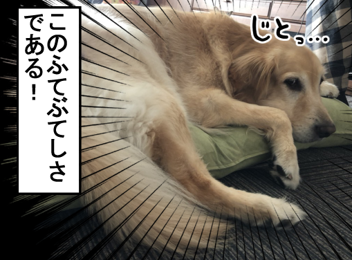 新174-3