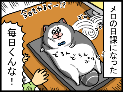 なんか全身とろけてる猫 : まめきちまめこニートの日常 (記事コメント