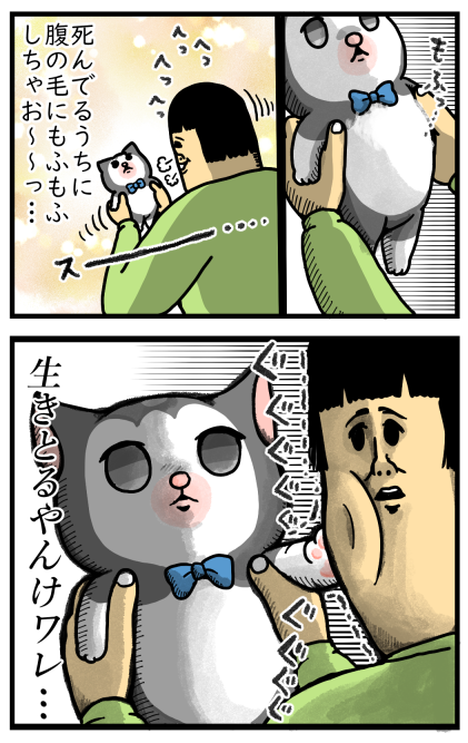 猫の怒り方にはそれぞれ個性がある まめきちまめこニートの日常 Powered By ライブドアブログ