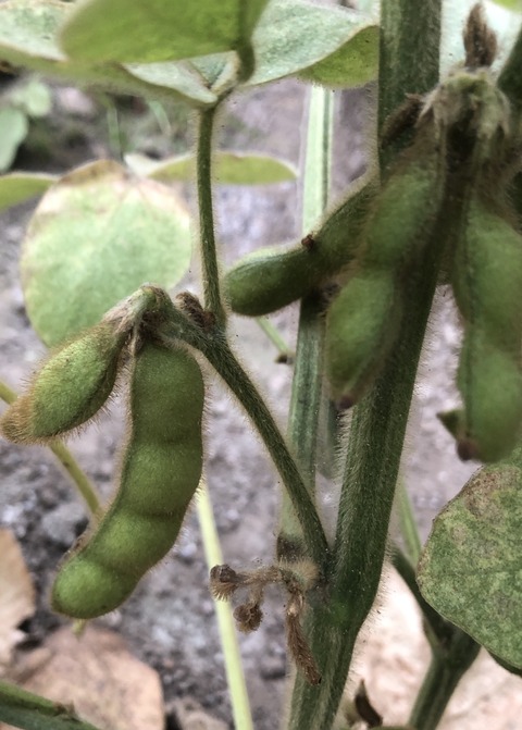 66FDCA86-97E4-4ACE-A4E4-0B6D08B1D6EE