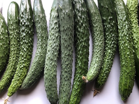 D152BECB-571F-4496-8400-9277A41D2B98