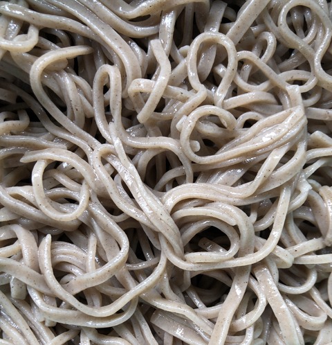 58309572-7F10-44D6-ADF5-56D042F0A644