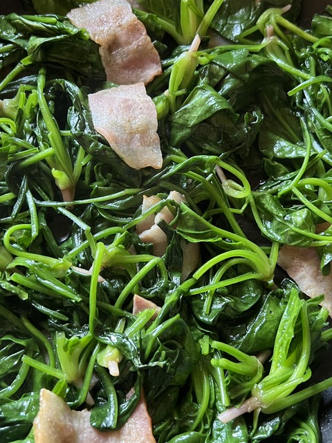 D5ABC9A7-3F74-4D76-8BB0-19549E749494