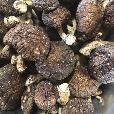 A8CBFAB5-AA89-4C47-98E4-D7040AA1776A