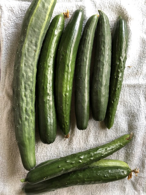 953D64B1-0464-4C95-823E-76E27516214F