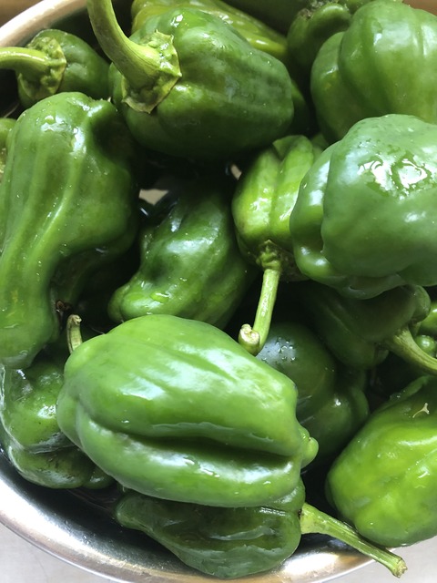 791627F0-717D-4779-B3DA-4D7D77A9BD89