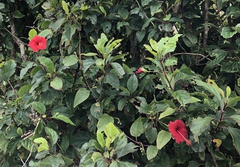 10E9F77D-D2BA-4E7D-853B-7AC00770530D