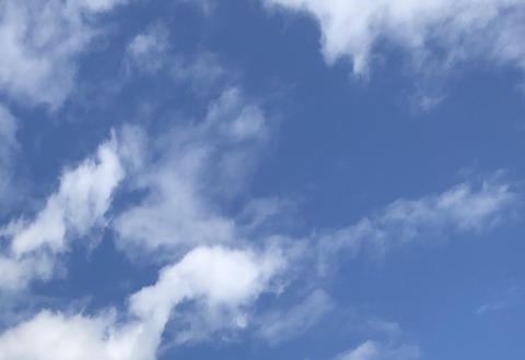 C0DE13EE-68A9-458D-A98C-E62F89CA8A12