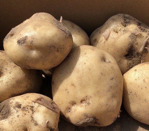 40856B1D-B905-4BF9-982A-BC63CD65C825