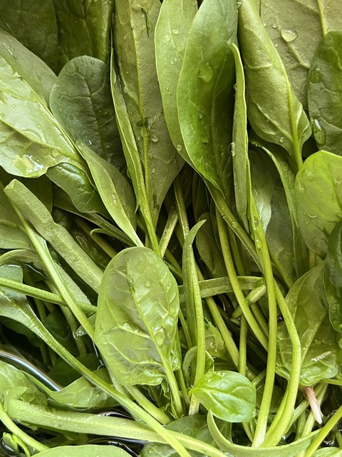 5DF659F8-0ED5-493E-9517-54C4995831B5