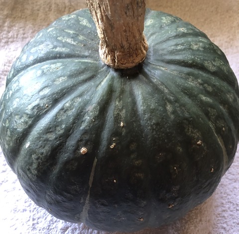 4A6A8F1B-BEF3-4250-B896-1AF4211E6465