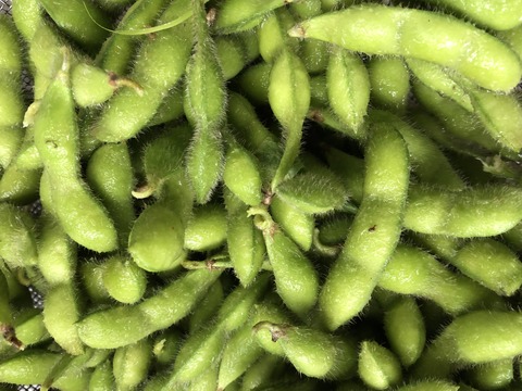 F895B60E-8454-46E2-8916-F601EB1A1D8C