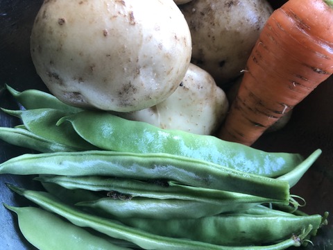 27B7877F-577B-48B5-ADD9-CB94A1C9C03C