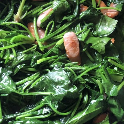 8EE25ED1-C576-4E6F-B393-62ECDF089362