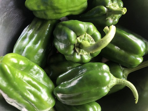 EAF1B438-B3E5-46AE-9292-27140A5F1E1B