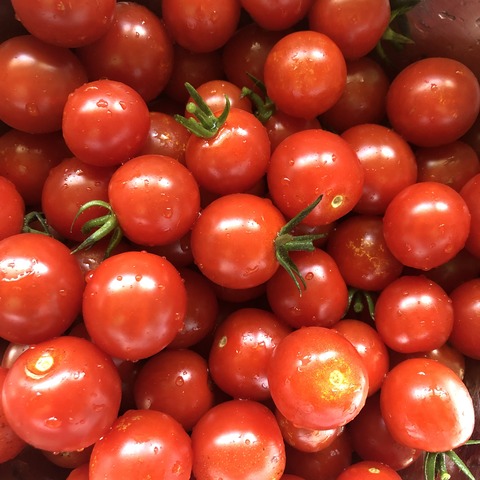 9E09D625-43B0-4731-BA77-AB4D0E62B246