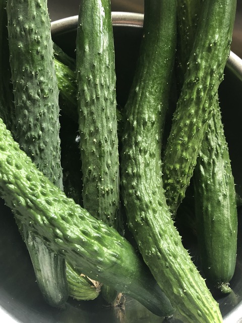 B9E5544F-C363-47CA-BCF2-E5C9A78B961F