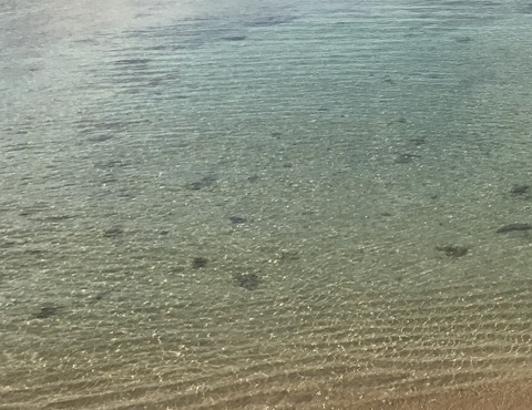 25811BB5-811D-442D-96DE-64C6D2CEF6D3