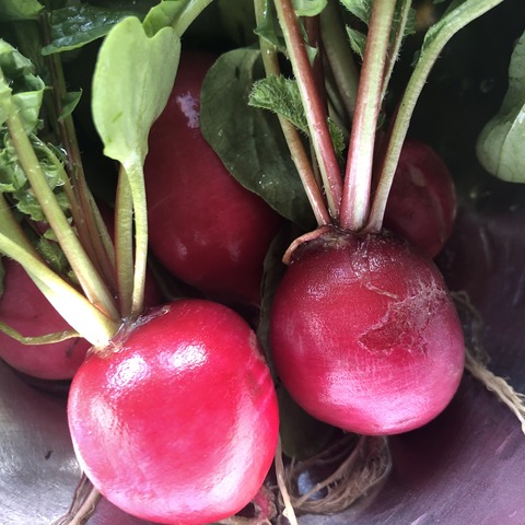 CE36516B-4087-4FF4-AD01-A275DE702546