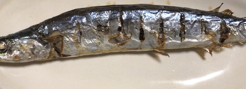 4D7AE1F0-89C1-4A05-8649-191F3D0A5D16