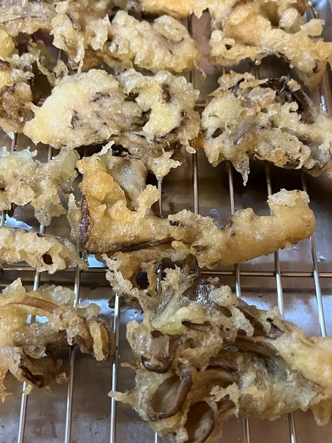 51996572-E462-49A8-A6C2-B10CA9506482