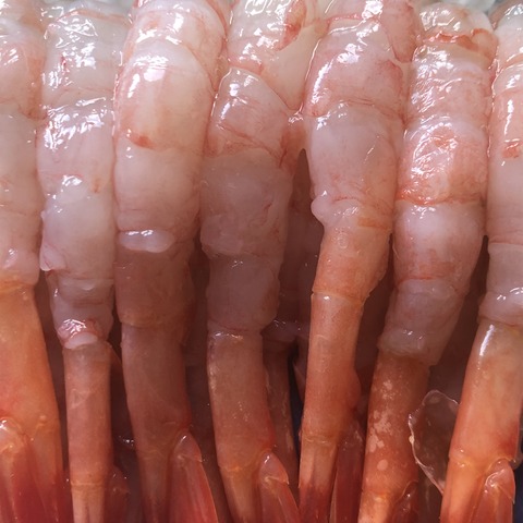 3B017F6C-AB5B-433B-B032-3D654B24C321