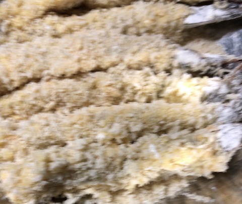 C65C10DE-E4A5-46CD-97EC-6AAD684A5453