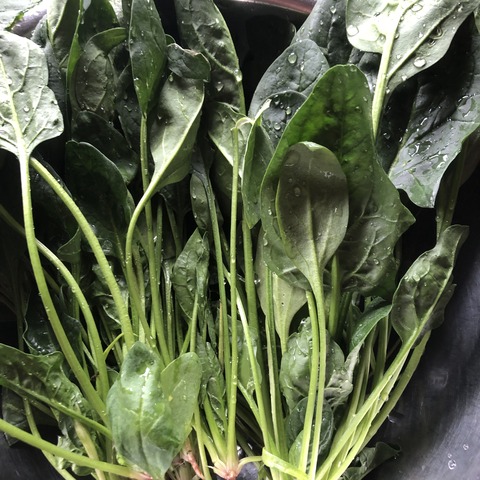 9F2B4269-2BF1-4D38-BE55-1F46C37A3D08