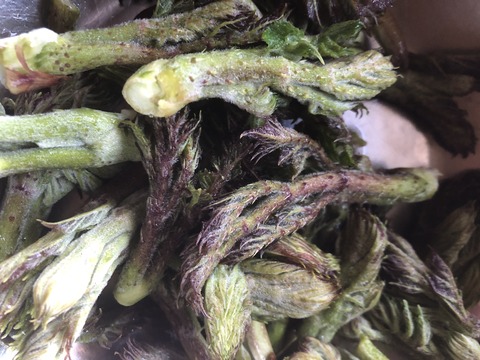 275C6C4E-EA9D-4B75-8E6A-00BE02EE673A