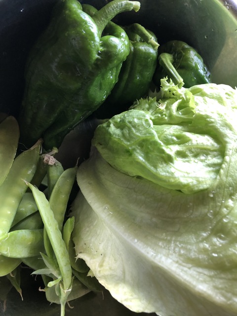 6743165D-4976-4DDE-AB23-2EED7F696185