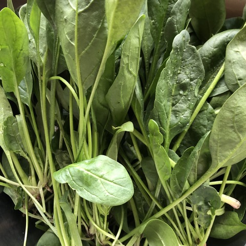 5A7DD456-EFB7-4BA5-B1D5-317A84394747