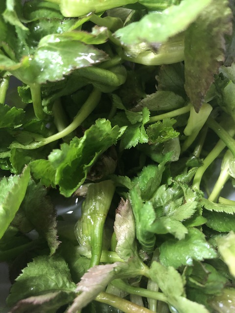 C489BBD9-1652-422B-A1FE-0173448D05F8