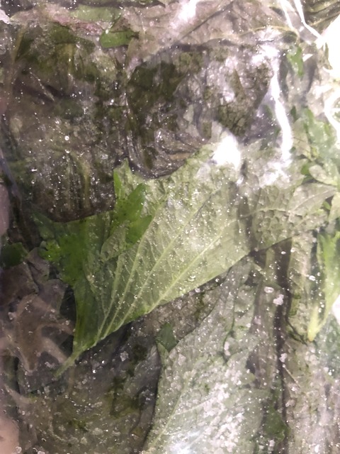 1F638781-3CF1-4091-9B01-56D5CFF8F67B