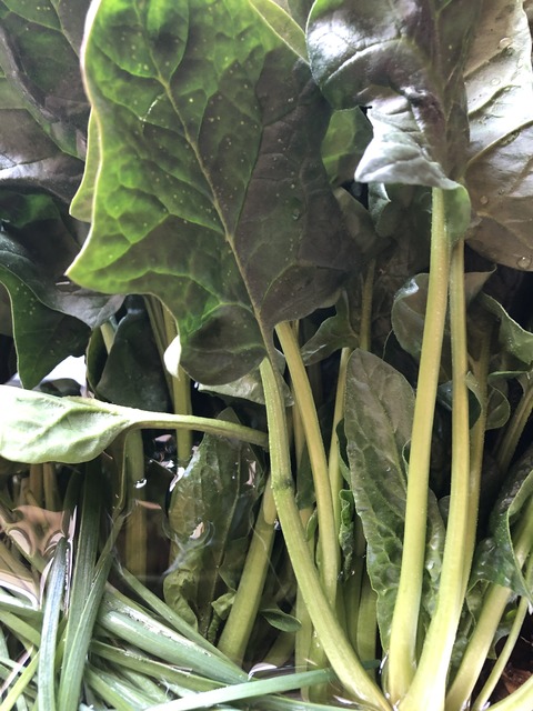 F55A3C64-E6FB-4A51-9042-9E9006281AC1