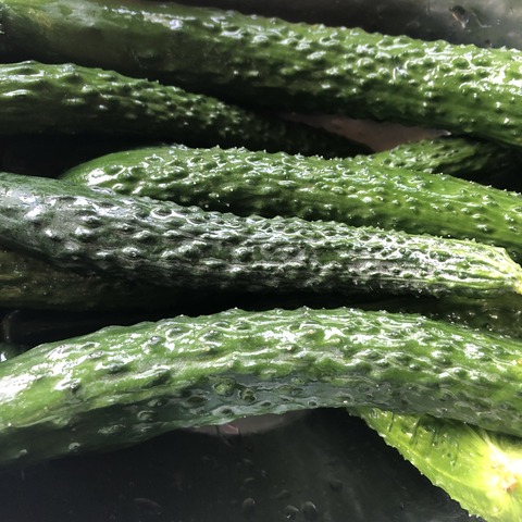 8BE5F49D-6DB6-42BD-B34C-FA0F580FFD4B