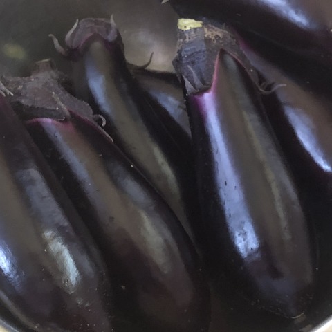 CB9A745A-D2B2-4AE1-B560-C65286D33804