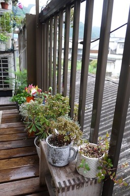 P1100346