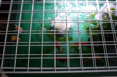 P1100588