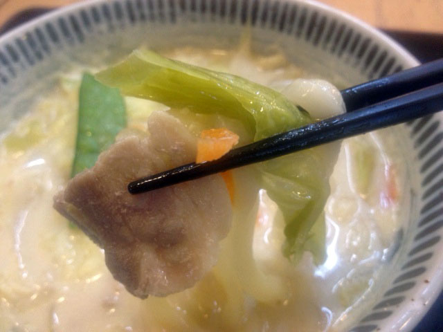 tonyu_udon_b