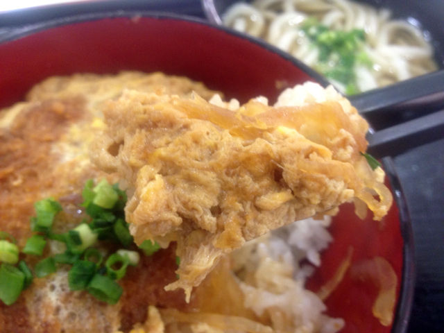 katudon2